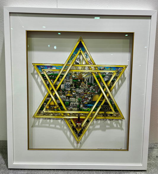 A Star of Serenity Premiere