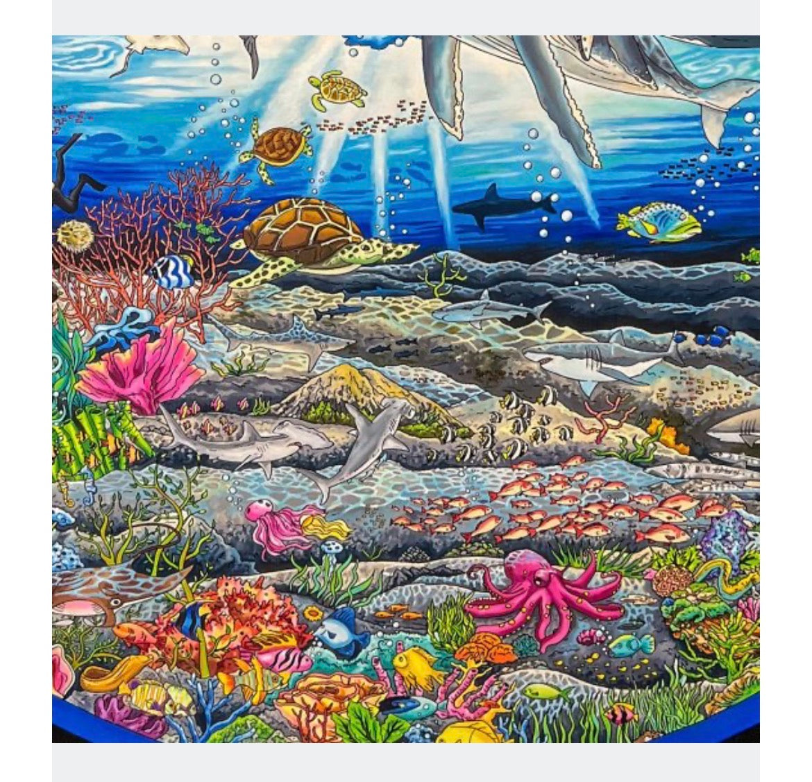 Porthole To Our Ocean