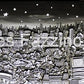 Moonlight Over Monochrome New York