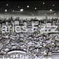 Moonlight Over Monochrome New York